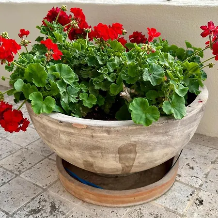 Jasmine Deluxe With Super-king Bed, Large Sun Terrace And Spectacular Views * Vis